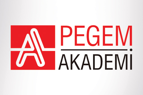 Pegem Yayıncılık